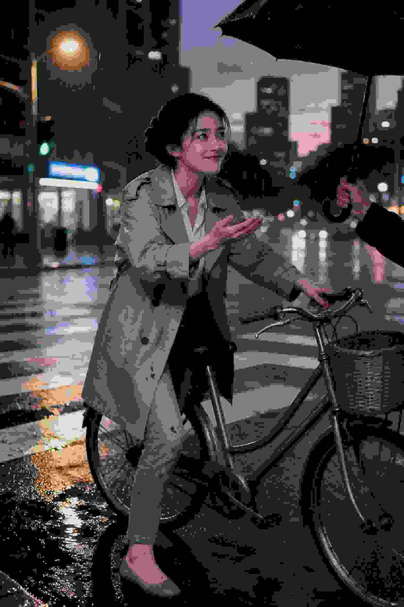王子的完美新娘